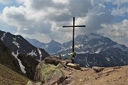 Laghi Gemelli dalle Baite di Mezzeno, fiori, stambecchi e ancora neve (4giu21) - FOTOGALLERY